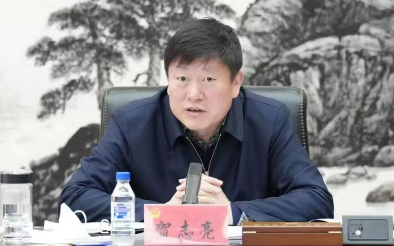 郑钦文武网亚军