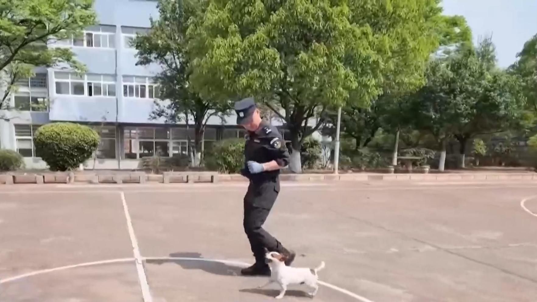 杨紫李现国色芳华开始招商