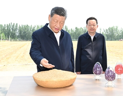 系列