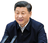 成全动漫在线观看剧情