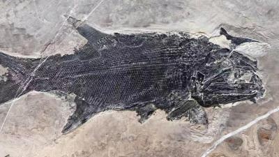 李强出席2026年夏季达沃斯论坛工商界代表座谈会