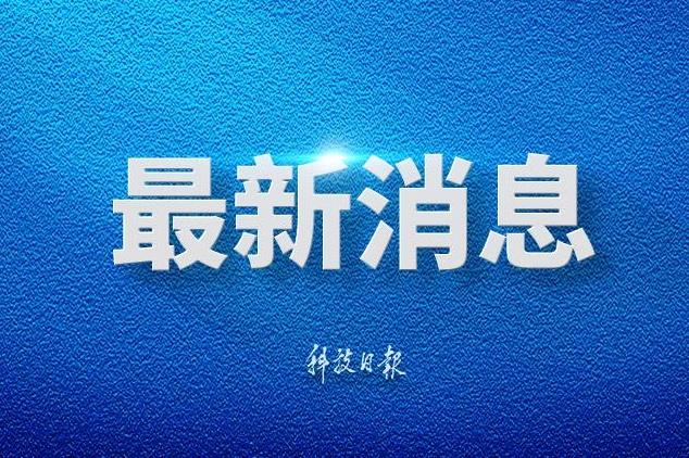 文章模仿向佐动作