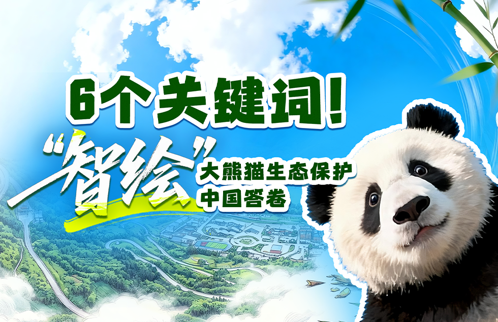 国乒怎么了