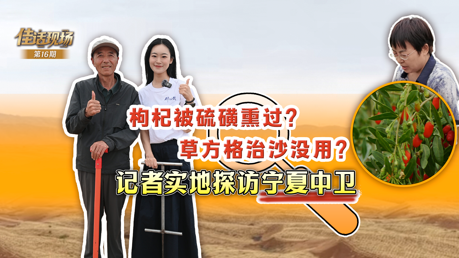 对战